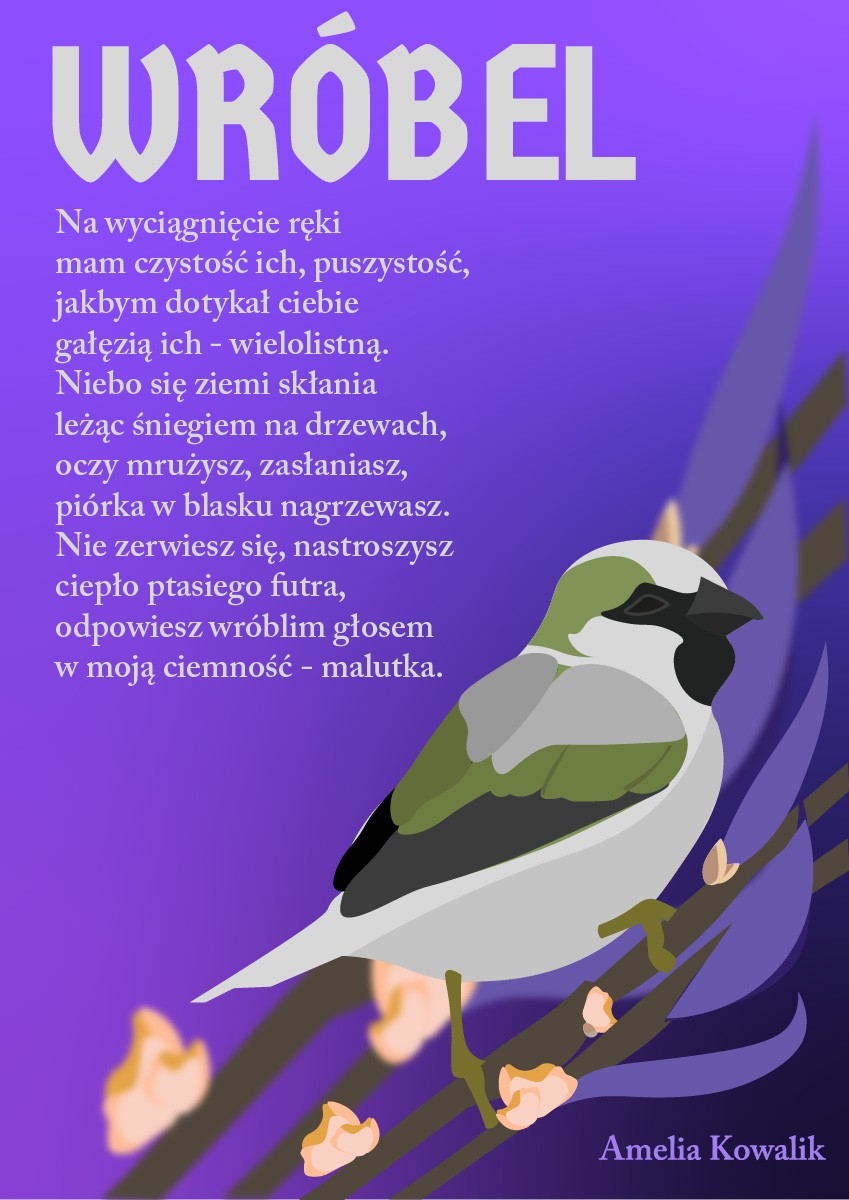 Grafika wykonana na zajęciach - Technik Grafiki i Poligrafii Cyfrowej w Lublinie - Centrum Kształcenia Zawodowego i Ustawicznego - LCKZiU